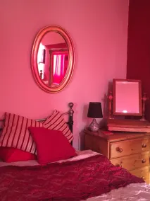 Shakespeare apartment vintage home desde su casa al borde del bosque nacional - Image 3