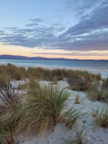 Roaring Beach Retreat - pet friendly, beachfront - Image 3