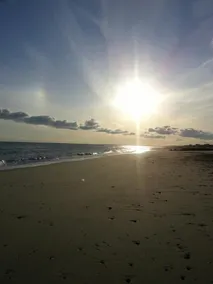 Beachland G - Image 4