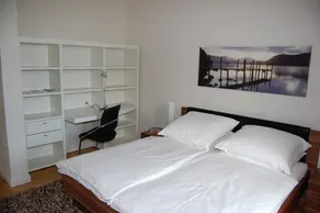 Individual, high quality furnished apartment for vacation fun with style. - Image 3