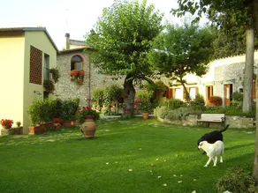 Two-room apartment barn in farmhouse with swimming pool - Image 4