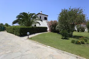 Villa Paolina: private pool, large shady patio, front garden. - Image 4