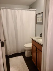 New construction! 1 BD/2 BA Top of Wintergreen mountain. Sleeps 4, pet-friendly - Image 5