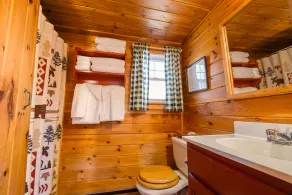 Quiet cabin near Mt Abram and Sunday River - Image 3