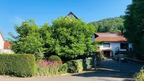 Geheimtipp Odenwald - Ferienwohnung Zeiträume - Wandern, Golfen, Biken uvm - Image 5