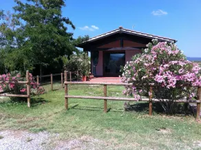 Private house with garden - Image 5