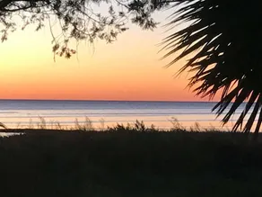 Fischkiemen | Keaton Beach Vacation Rentals LLC Florida Golfküste - Image 5