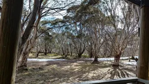 Snowgums 17 - Image 5