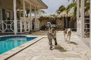 4 Villa Resort with Pool and Minutes from the Beach - Image 3