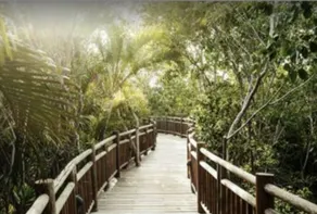 Vidanta  Property Grand  Luxxe  Master Suite 2 Bedroom,  2 Bath - Image 1