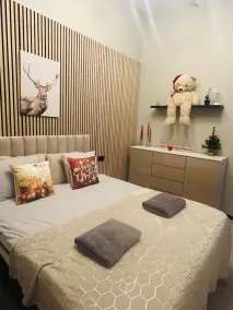 Luxurious smart villa in Golden Circle, Reykholt, South Iceland - Image 3