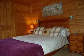 Luxury woodland Alder Lodge - Image 4