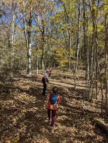 Family and Pet Friendly, Amazing Mountain Views, Quiet Yet Close to Everything! - Image 2