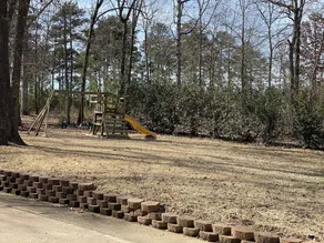 6 BR Log Home in Piney Woods of East TX with hot tub and POND - Image 3