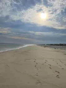 7-26 to 8-2 / 8-23 to 8-30 AVAILABLE Private Pool  Steps from Moriches Bay - Image 5