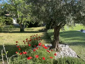 MAISON BAMBOU GOLF DE ST TROPEZ - Image 5