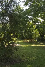 Campsite #1 !! Private Tent Camping near Dupont! - Image 3