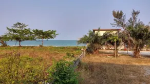 Bamboo Resort - Image 5