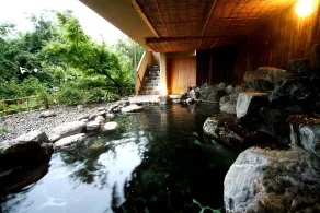 Senkyo - Image 2