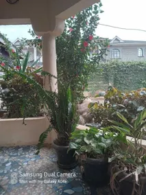 Caren Cottages & Airbnb Kitale - Image 5