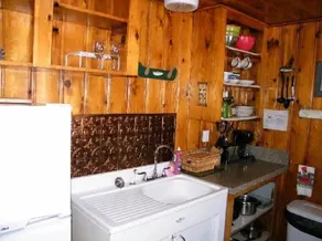 Honeymoon Cozy Forest Cabin - Image 3