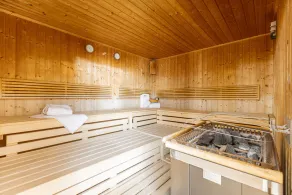 Large vacation home near ski resort - Image 3