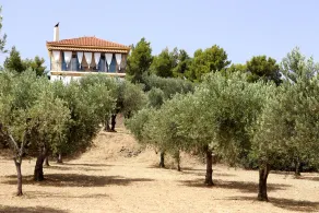 Maison d'hôtes avec vue, comme la famille, animal -Friendly, la qualité grec déjeuner, propre. - Image 4
