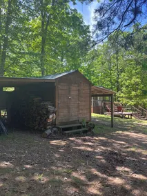 Fenced for your fur babies! 2 cabins on property for 1 price! - Image 4