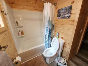 Deluxe Little Manistee River Cabin - Irons, MI - Image 2