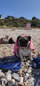 Træhus ved Strand. TV Free House - Image 2
