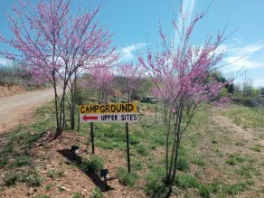 We Have A Campsite for Your RV - Image 2