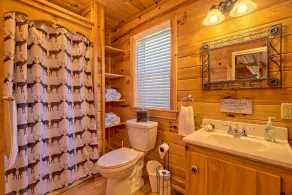 Upscale cabin in the north Ga. mountains on a peaceful pond. Pet friendly ! - Image 5