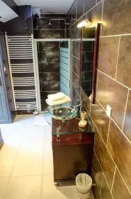 Large apartment with terrace in character property - Image 3