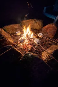 Waterfront Muskoka Cottage | Hot Tub, Fire Pit, BBQ and Canoes - Image 2