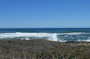Doc Retreat ~ Yachats Ocean Front - Image 3