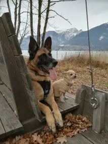 Wolfgangsee, centro, lago, vacaciones familiares, esquí, hidromasaje, perros, SKY-TV - Image 3