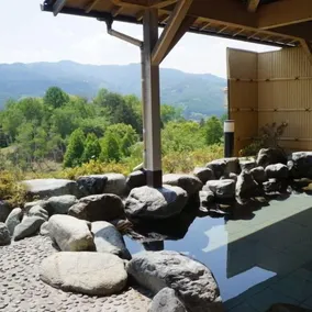 Tatsuno Park Hotel - Image 4