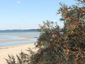 Idyllic Bungalow in Damshagen near Baltic Sea - Image 3