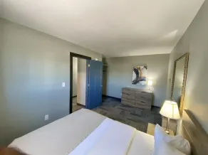 Suite 308 - Newly Renovated | 1 Bed, 1 Bath - Image 4