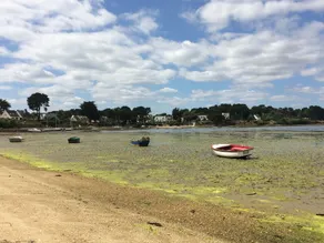 Maison 'entre terre et mer', vue mer et accès direct Golfe du Morbihan, 8 p. - Image 4