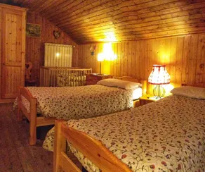 Spacious chalet in peaceful environment, 300m from village center, near slopes - Image 5