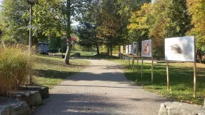 Meublés du 25 N°6 in Niederbronn-les-bains - Image 5