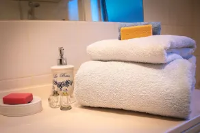 Rosewood Park Guest Suite: la escapada ideal que está más cerca de lo que piensa. - Image 3