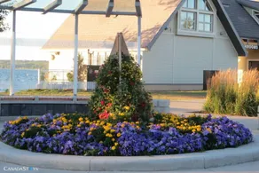 LINDA  GAYE'S HISTORIC  COTTAGE NEAR BEACH & PROMENADE  STAR # O4298 - Image 3