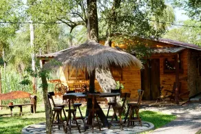 In the middle of the fascinating nature of Paraguay - Image 5
