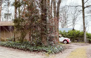 Nice Home In Rheezerveen With Wifi - Image 4