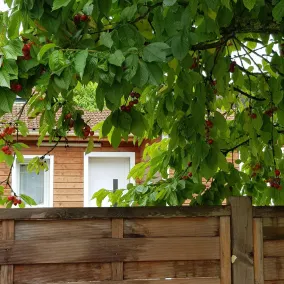 Gîte La mélodie au betaler provinsen - Image 5