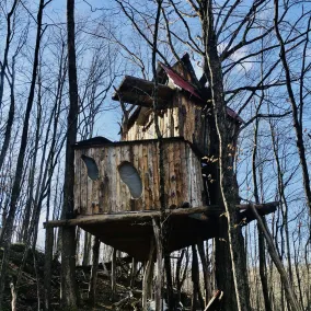 Vermont Treehouse compound: no cleaning fee. Spend a few days In the Trees - Image 2