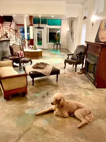 The apARTment/ historic railroad inn, pet-friendly - Image 4