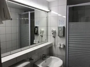Single room, shower or bath, WC, 1 bedroom - Hotel Rheinlust - Image 5